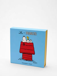Peanuts Trinket Tray - House