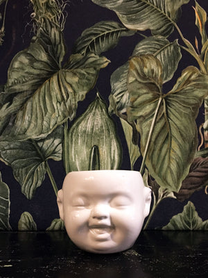 Baby Face mini Pot / Planter White - giggle