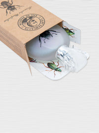 Captain Fawcett Eau de Parfum - Beetle Alessandro Manfredini