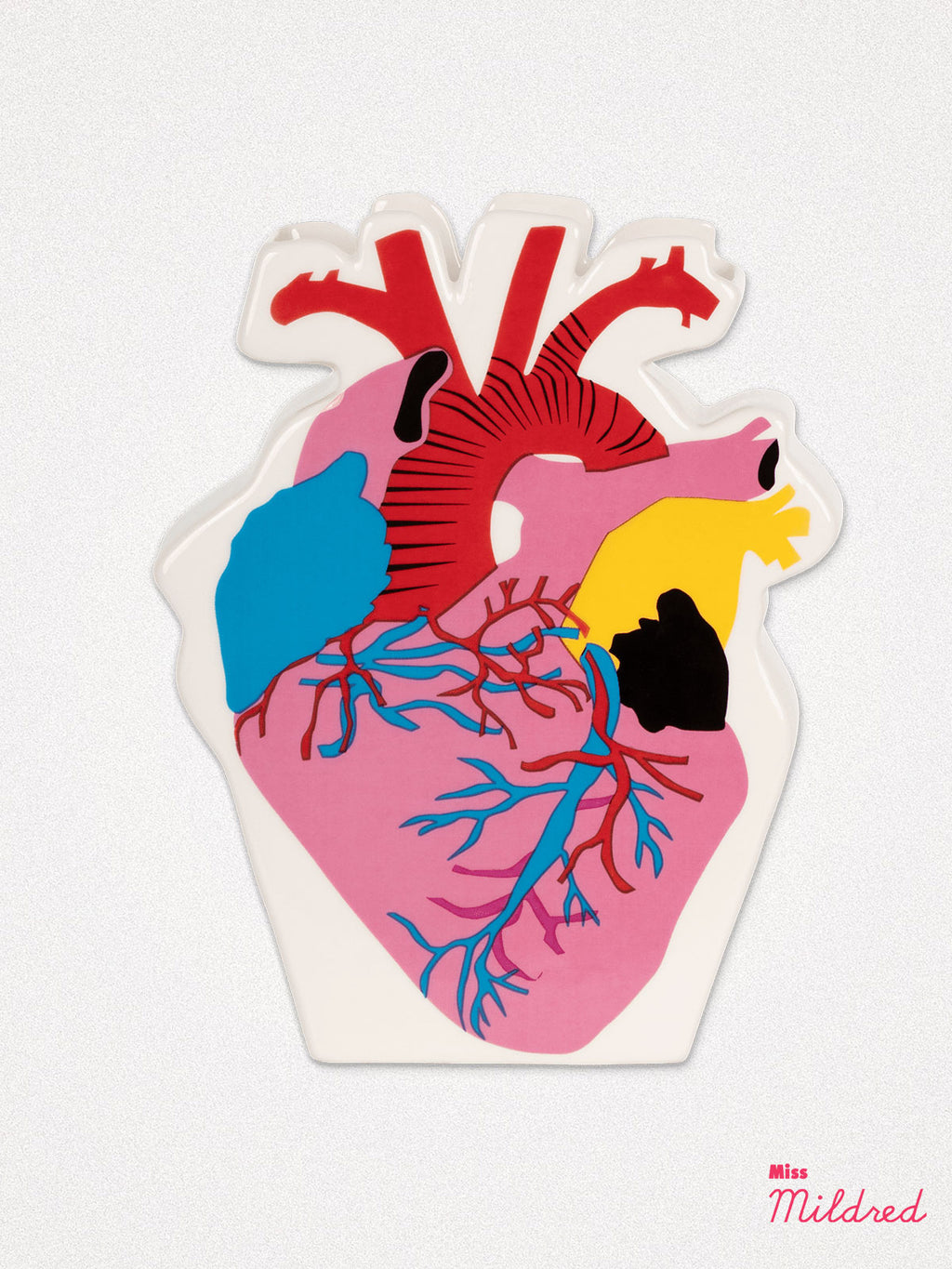 Colourful Anatomical Heart Vase