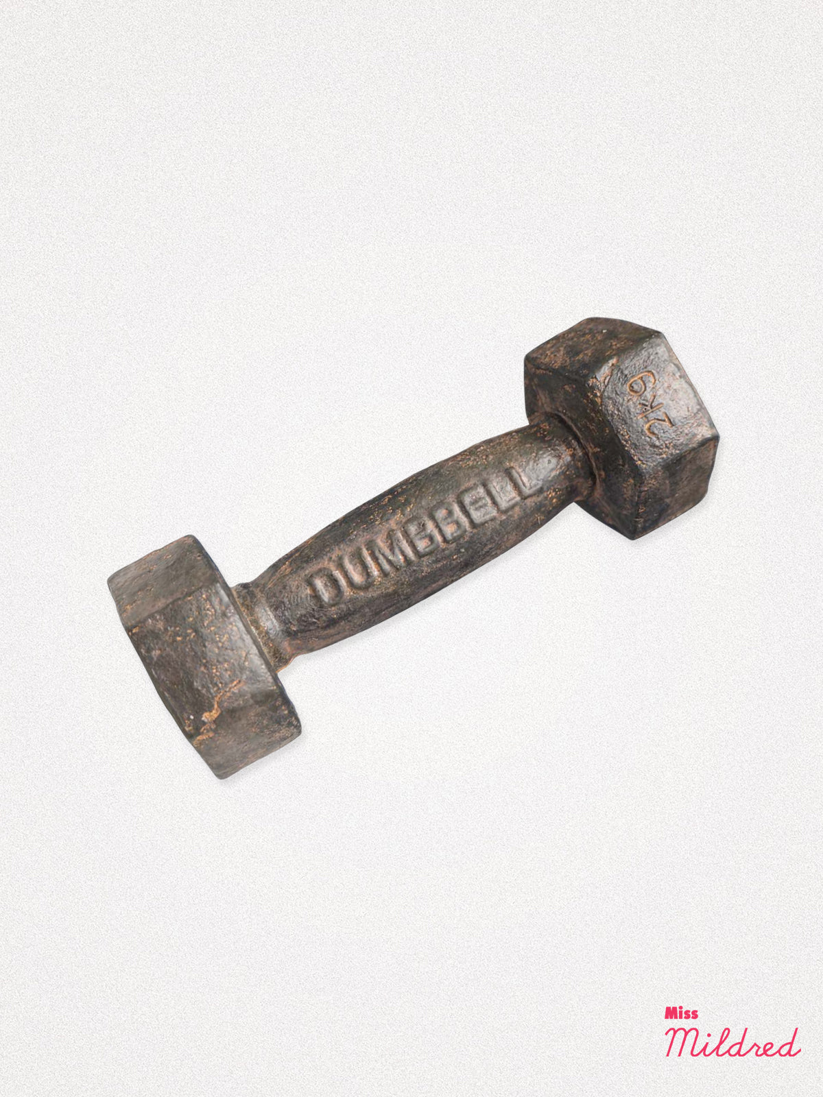 Decorative Light Dumbbell
