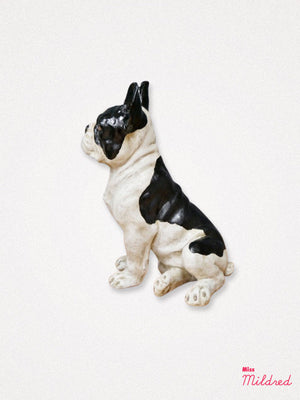 French Bulldog -  White and Black