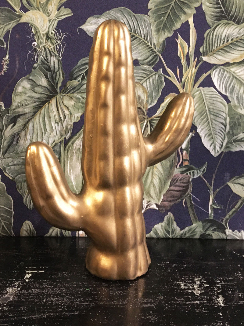 Fabulous Gold Cactus