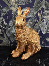 Midas Golden Rabbit Statue - 33cm