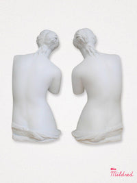 Venus Bookends