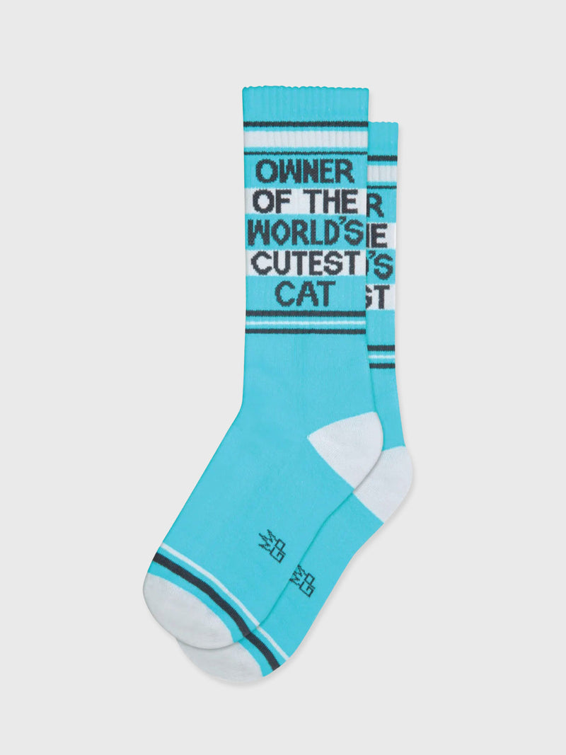 Gumball Poodle - Owner of the World's Cutest Cat Socks