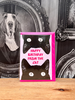 Greeting Card - Happy Birthday From The Black Cat