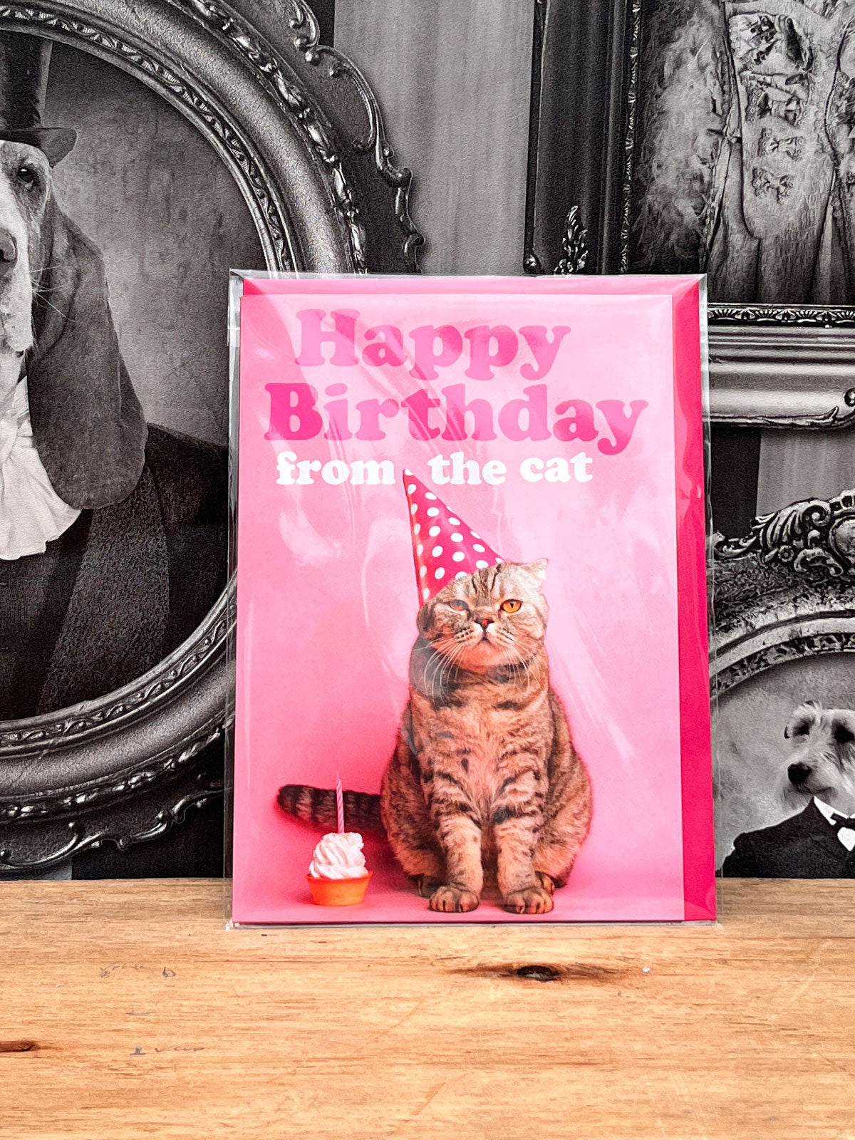 Greeting Card - Happy Birthday From The Cat