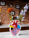 Colourful Anatomical Heart Vase