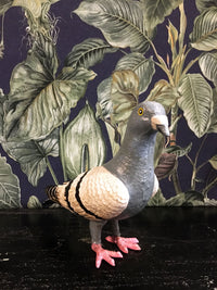 Peter Pigeon Statue - Cast Iron