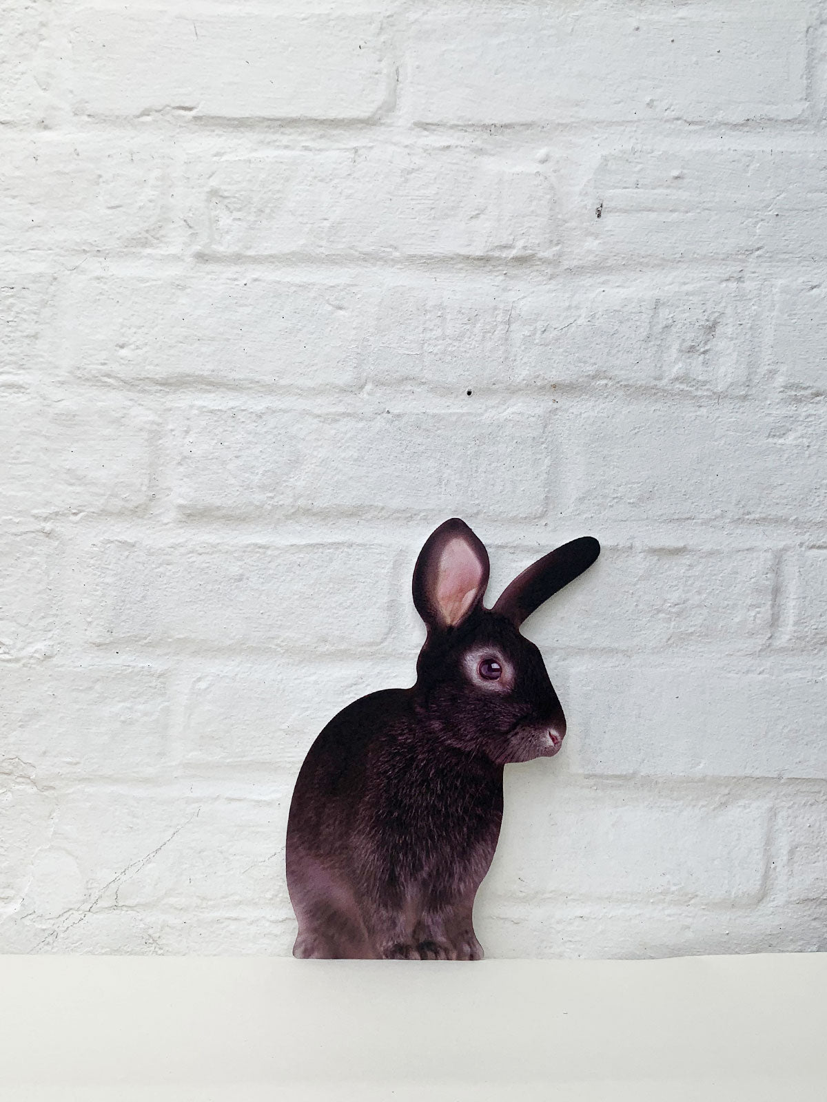 Koziel Cut Out - Rabbit Black