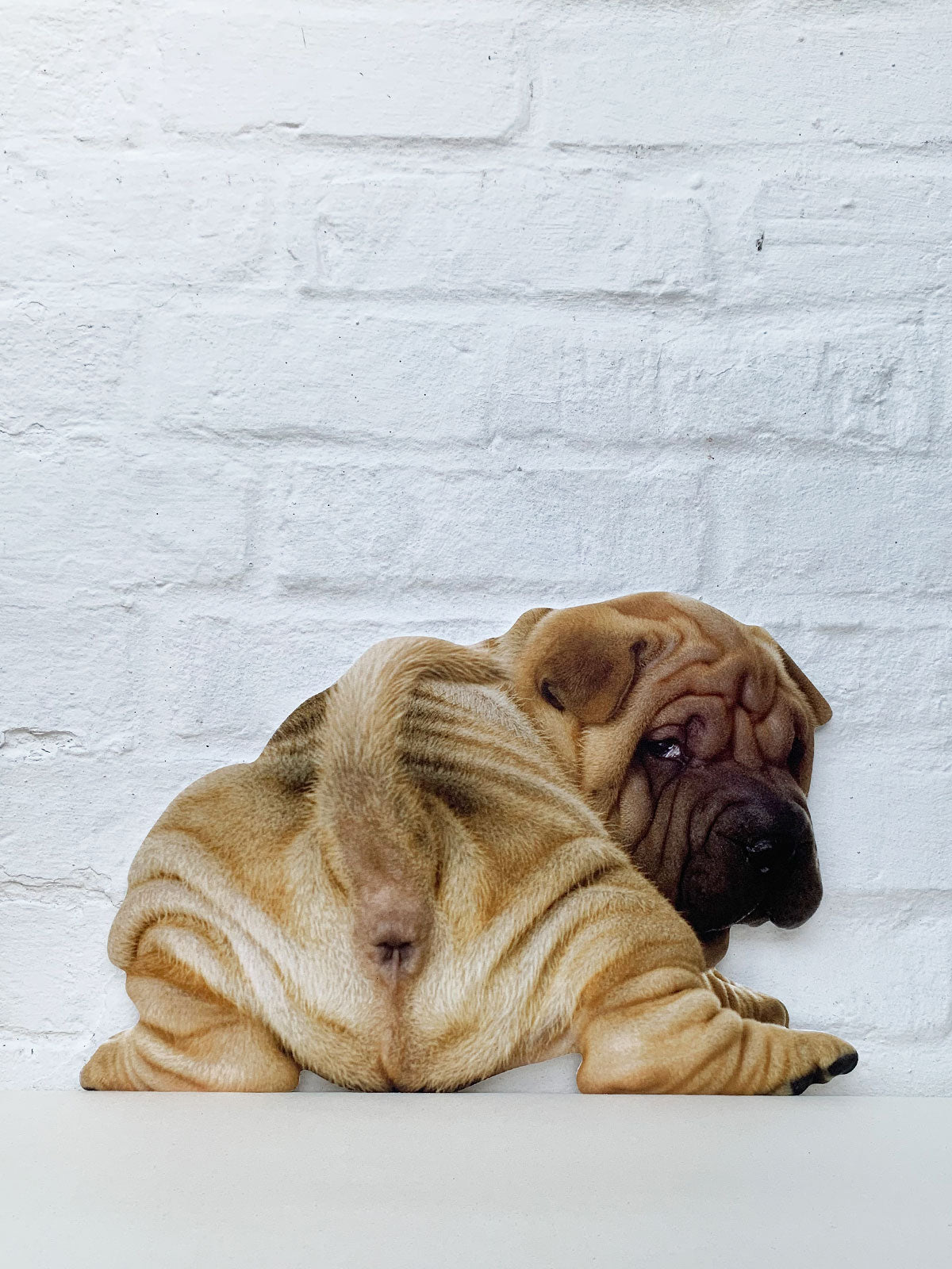 Koziel Cut Out - Shar Pei