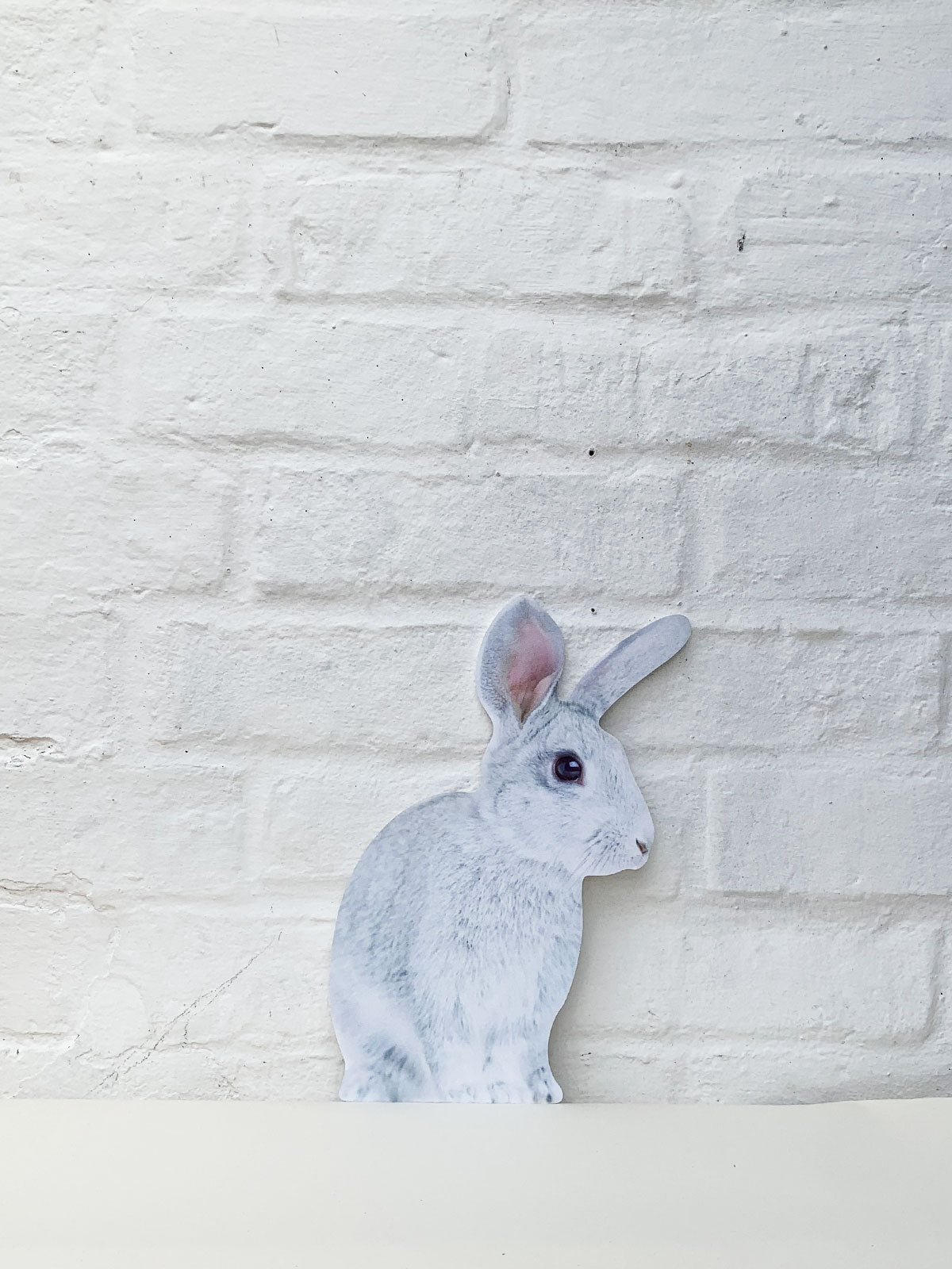 Koziel Cut Out - Rabbit White