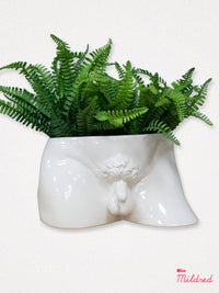 William Male Torso Penis Planter