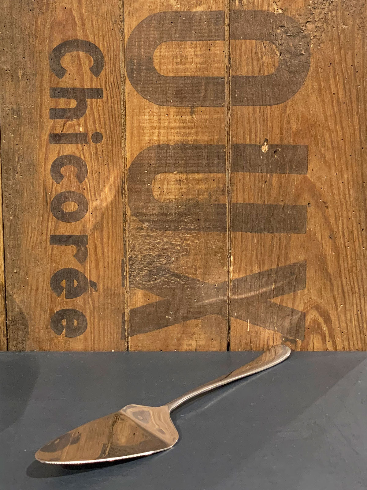 Metal Cake / Pie Slicer & Server