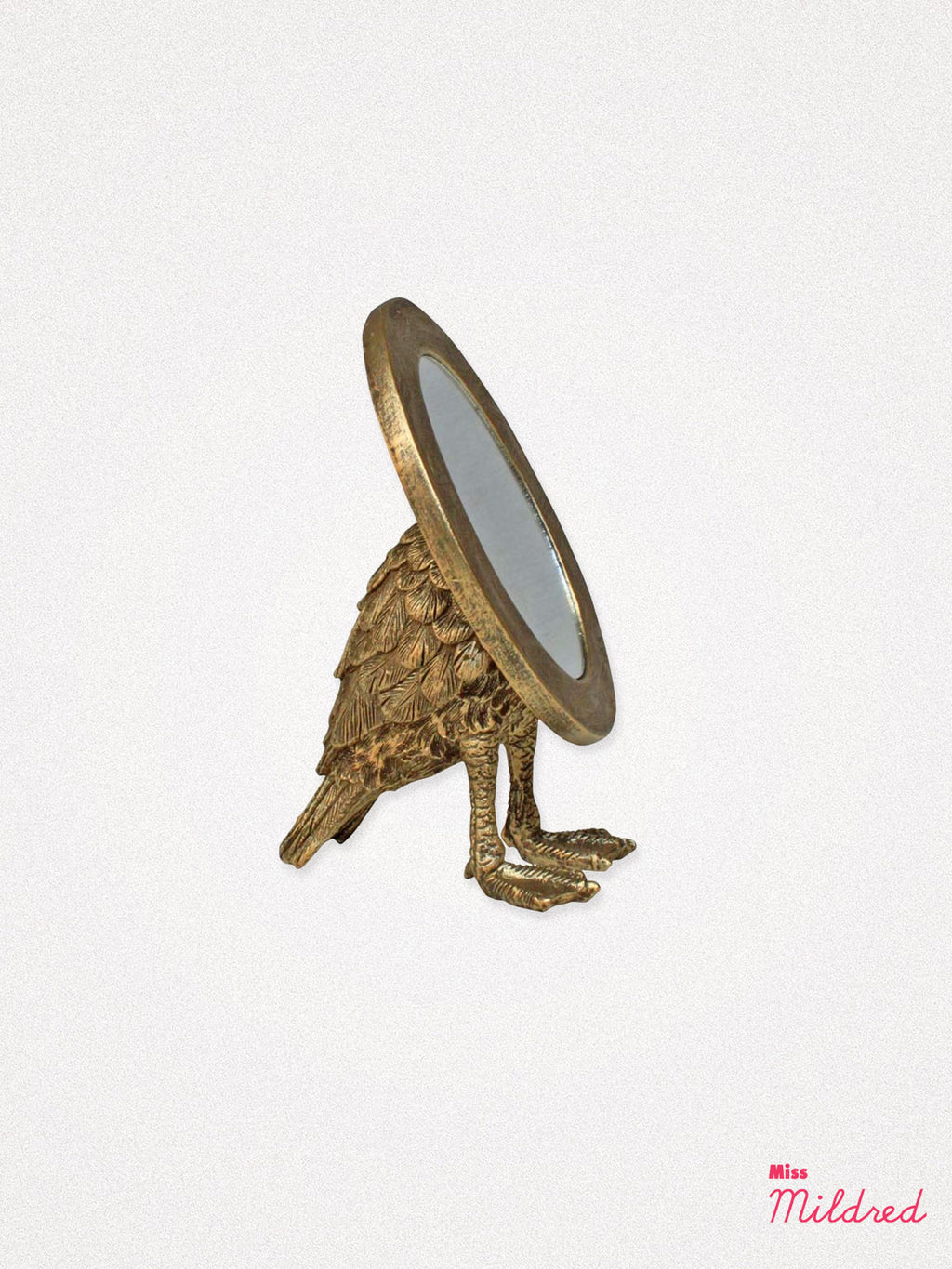 Webbed Feet Oval Bird Mirror