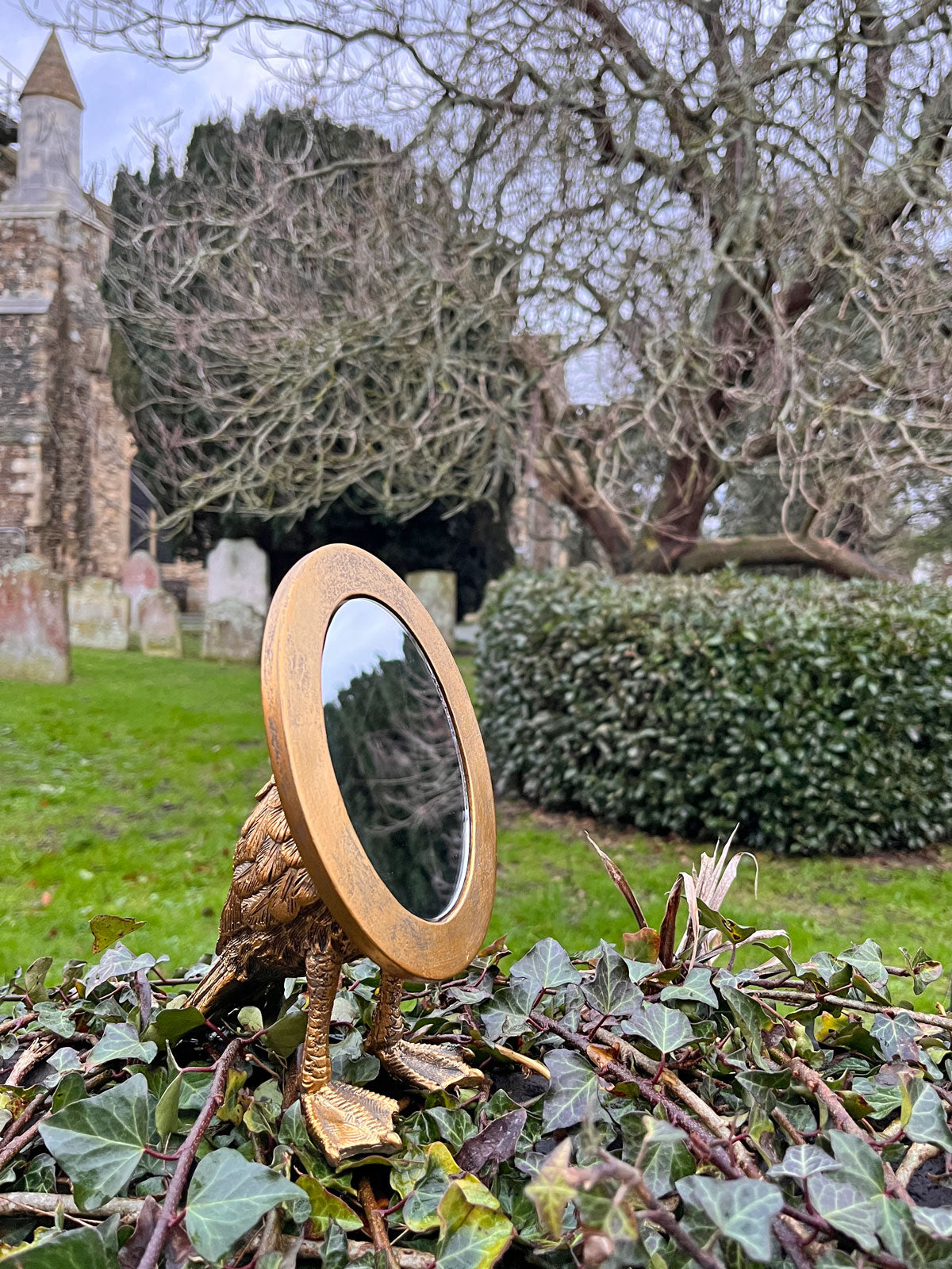 Webbed Feet Oval Bird Mirror