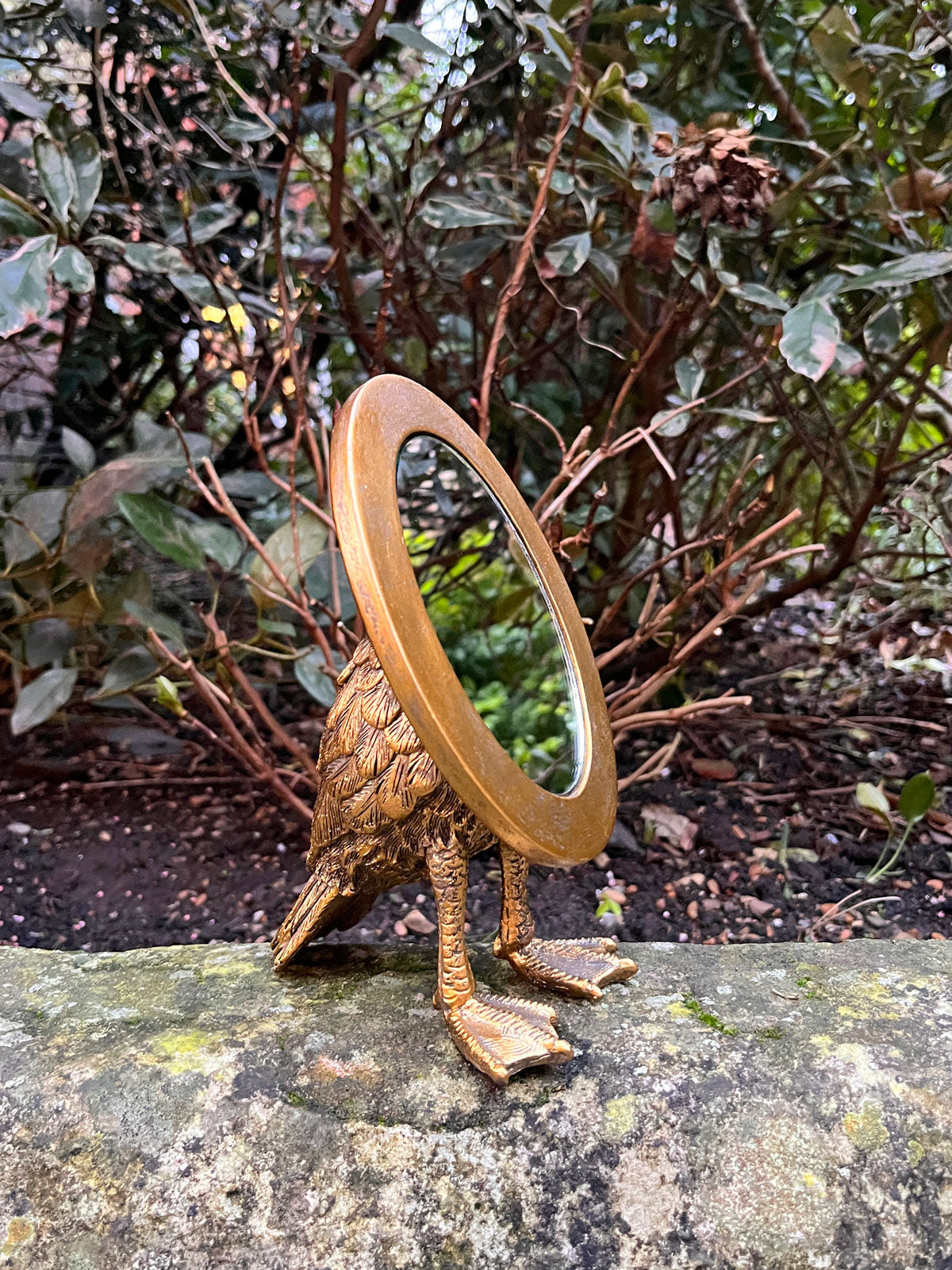 Webbed Feet Oval Bird Mirror