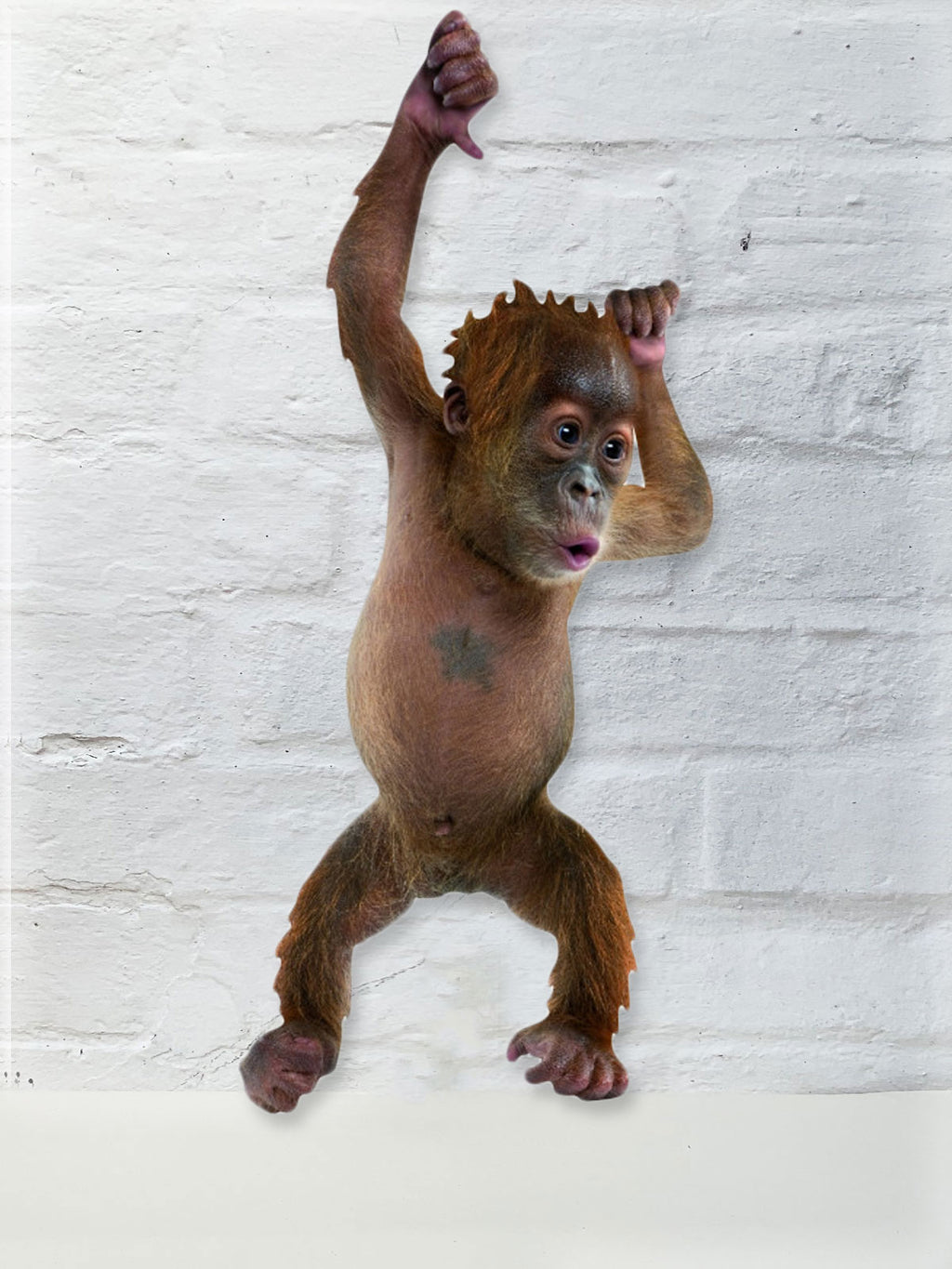 Koziel Cut Out - Orangutan
