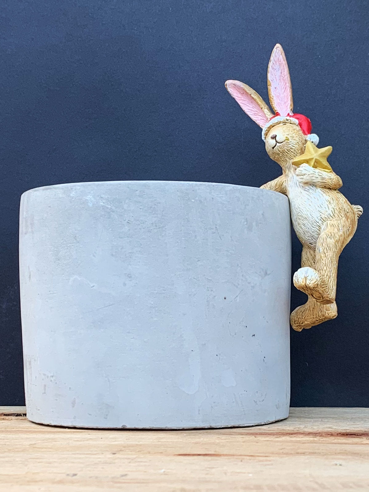 Pot Hanging Santa Bunny Rabbit with Star