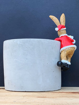 Pot Hanging Santa Bunny with Present