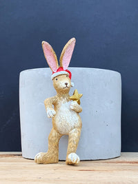 Pot Hanging Santa Bunny Rabbit with Star