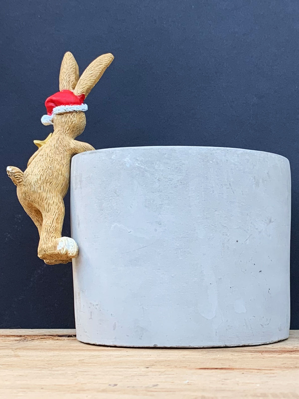 Pot Hanging Santa Bunny Rabbit with Star