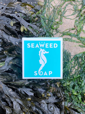 Swedish Dream - Seaweed Soap 113g