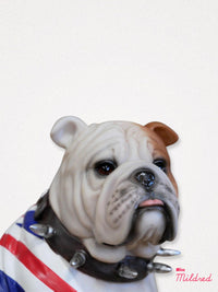 British Bulldog -  Sitting