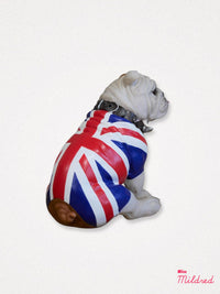 British Bulldog -  Sitting