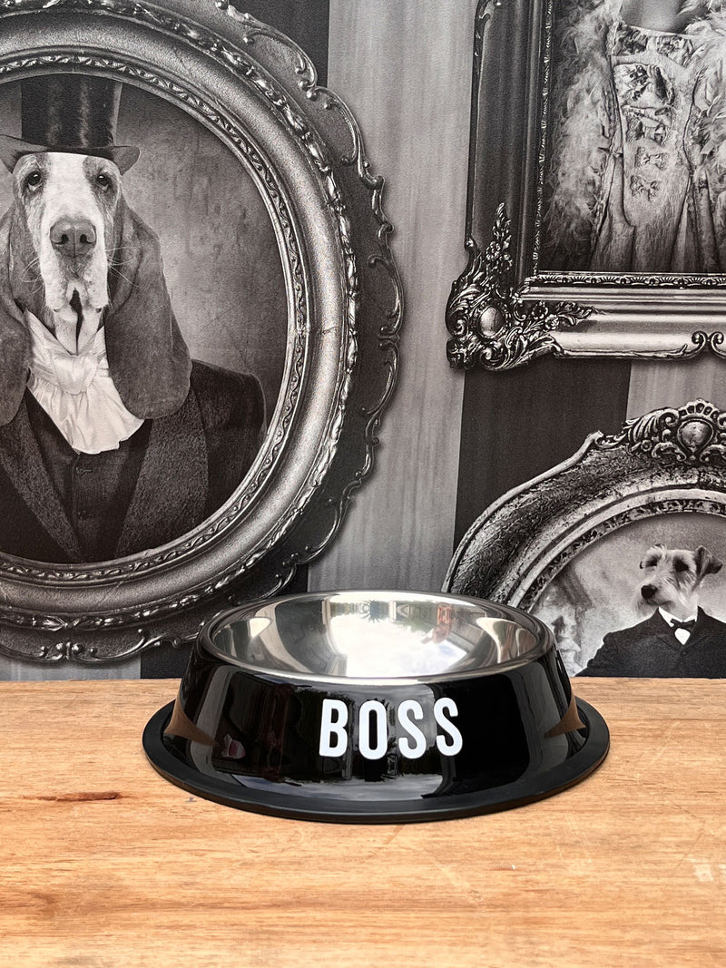 Boss Dog Bowl - Small