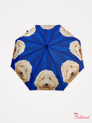 Umbrella - Doodle Dog