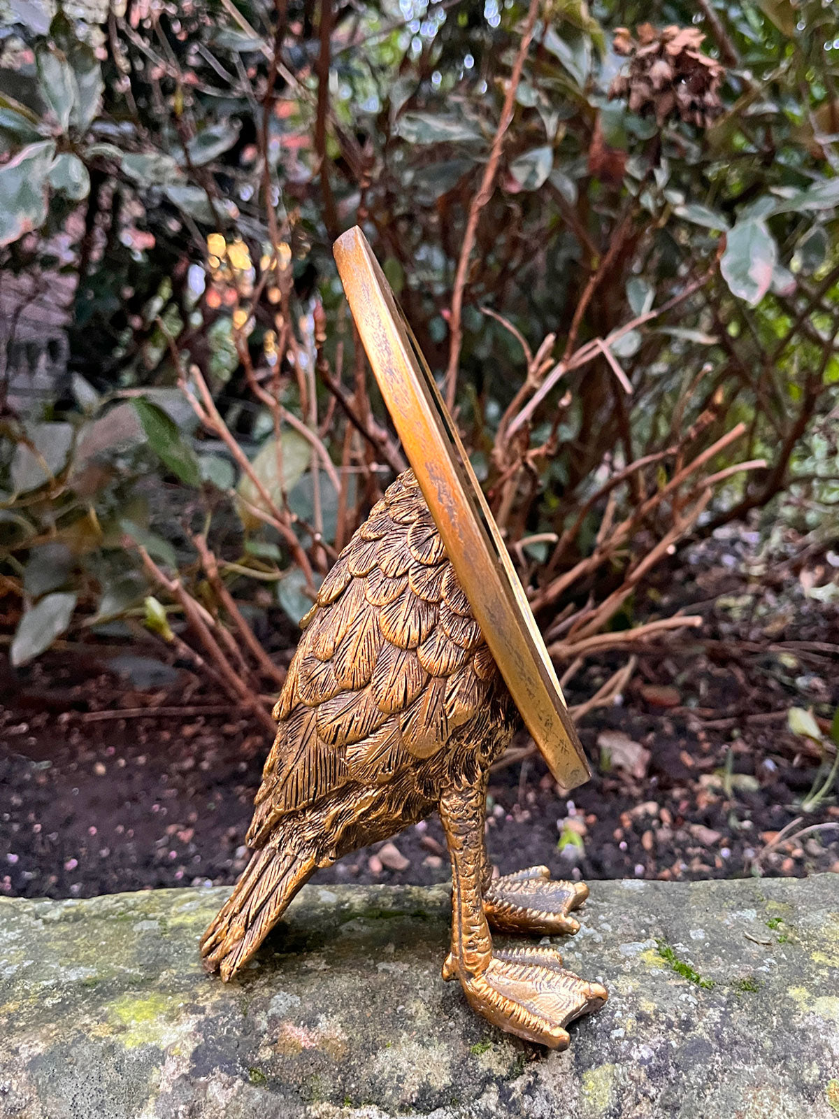 Webbed Feet Oval Bird Mirror