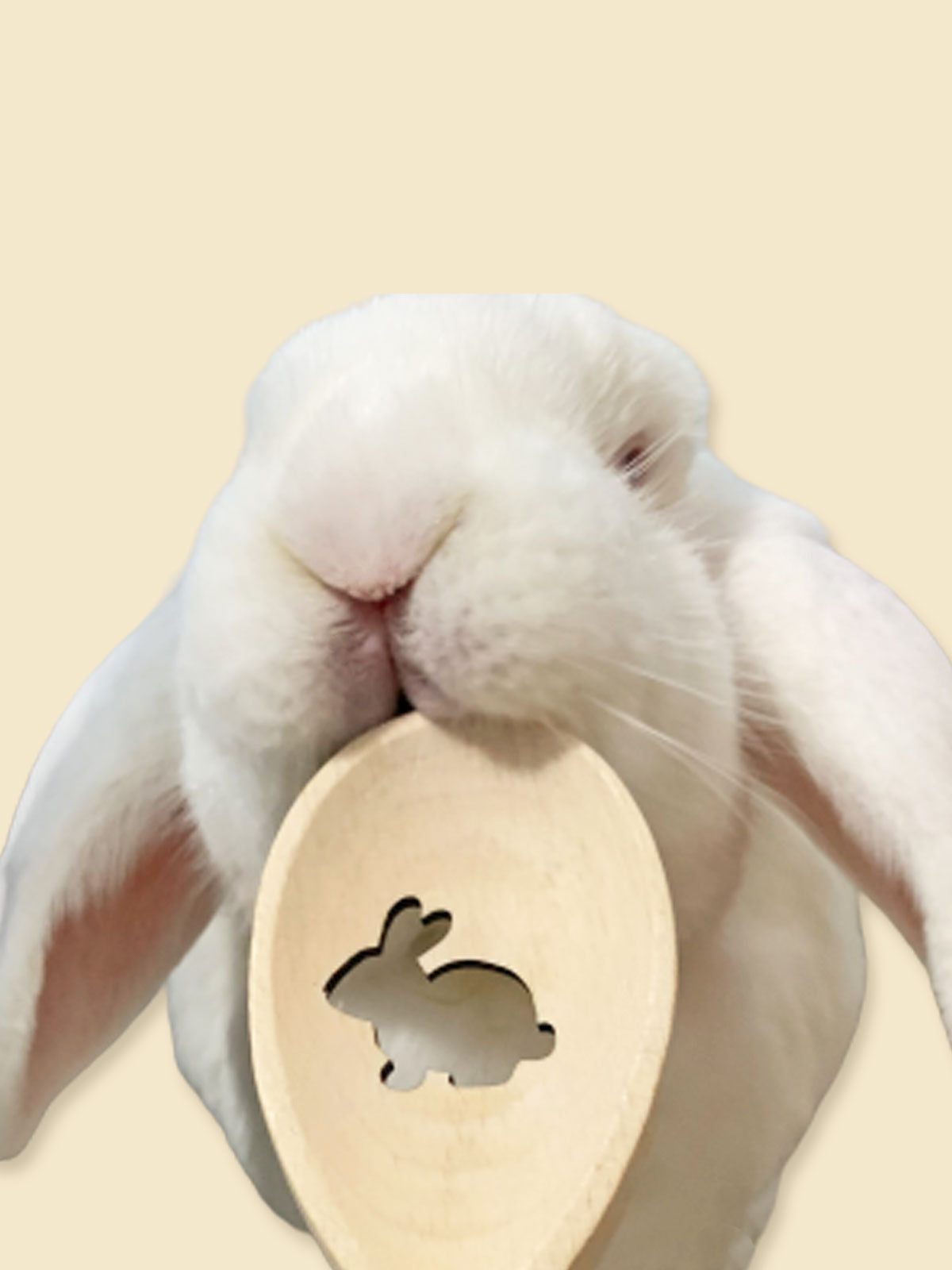 Wooden Bunny Spoon